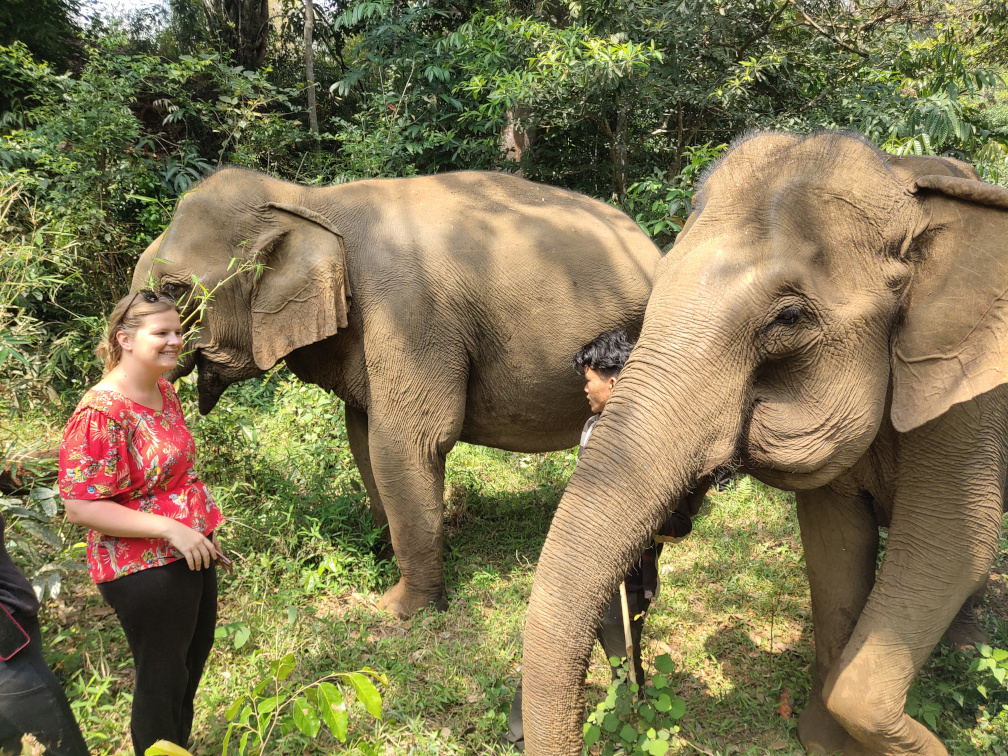 Laure et les éléphants