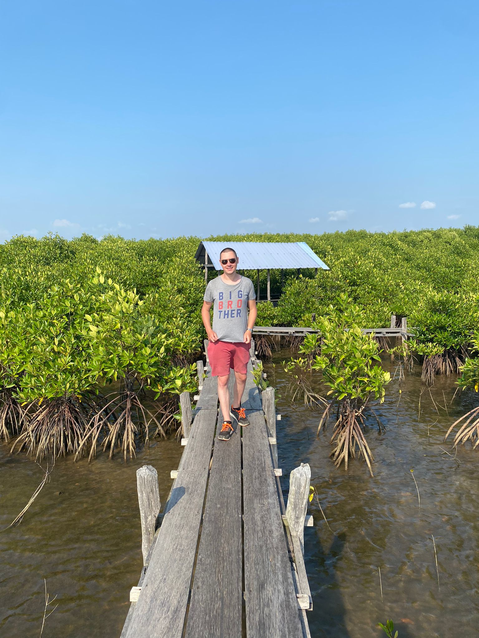 Romain & Mangroves