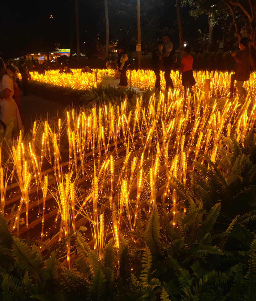 Le parc illuminé