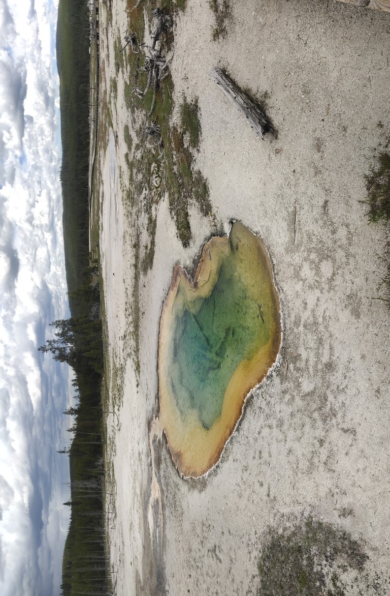 Yellowstone